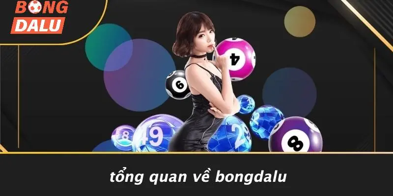 Tổng Quan Về BONGDALU