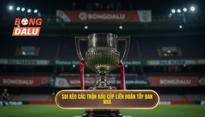 Soi kèo các trận đấu cúp liên đoàn Tây Ban Nha