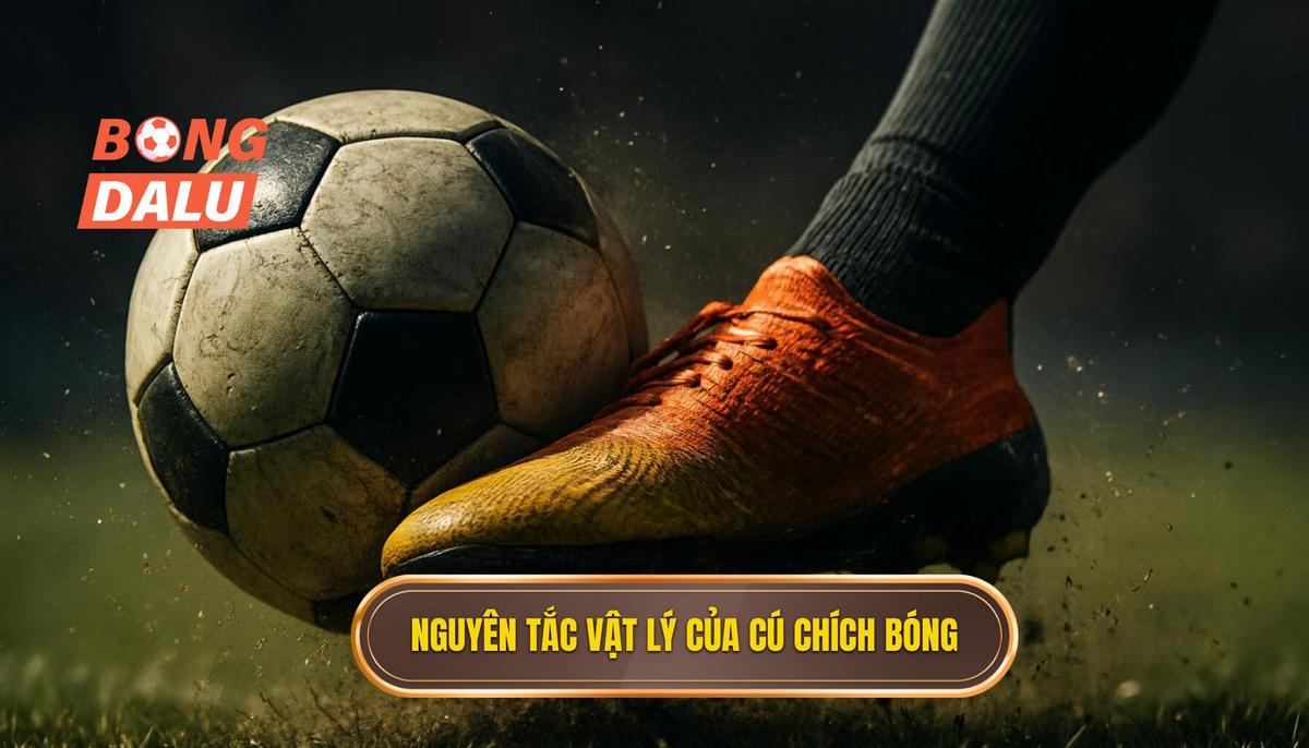 Cơ chế hoạt động và nguyên tắc vật lý của cú Chích Bóng