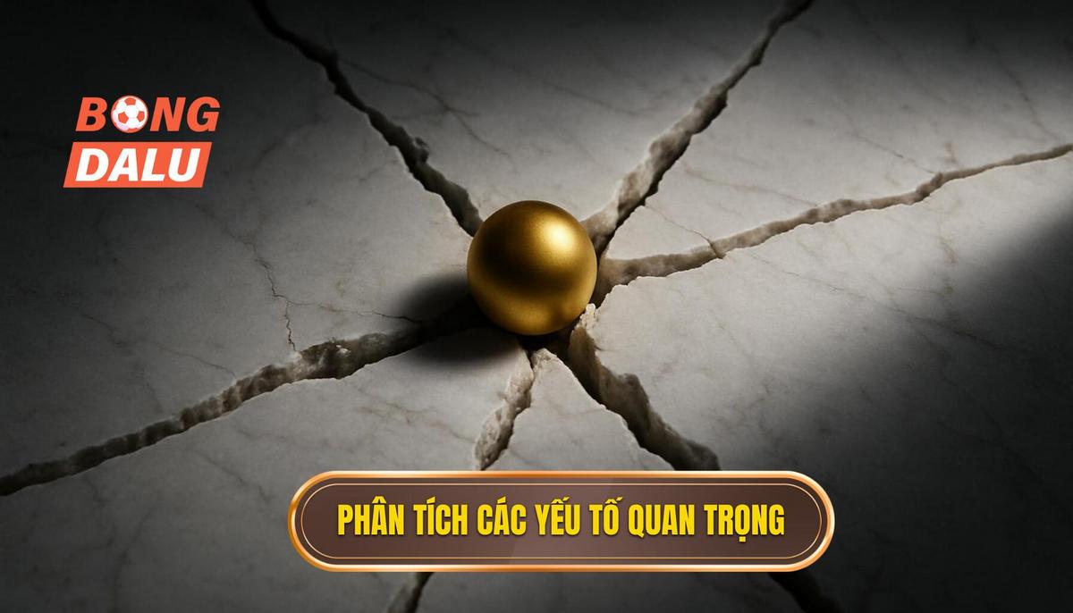 Phân Tích Chuyên Sâu Các Yếu Tố Then Chốt