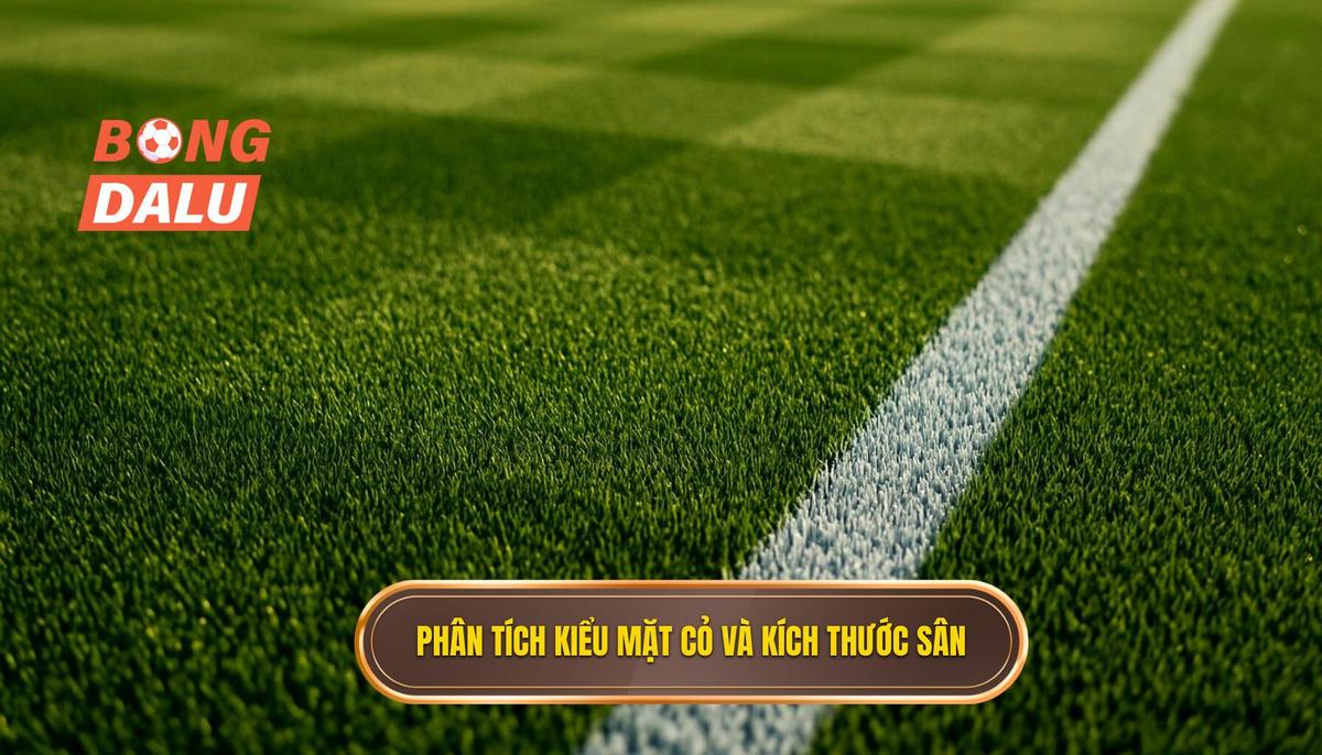 Phân tích chi tiết kiểu mặt cỏ và kích thước sân