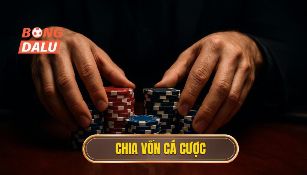 thumb - chia vốn cá cược