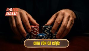thumb - chia vốn cá cược