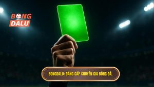 BONGDALU_ Đẳng cấp chuyên gia bóng đá.