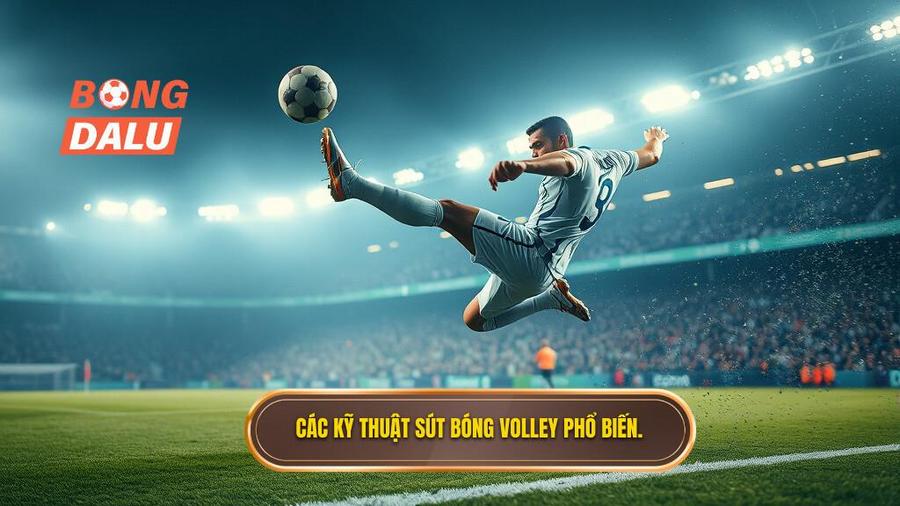 Các loại kỹ thuật sút bóng volley phổ biến