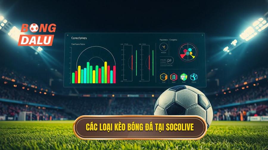 2. Các loại kèo bóng đá tại Socolive
