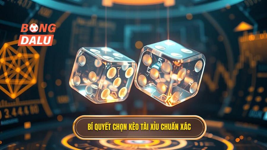 Phân tích đa chiều: Khi nào nên chọn Tài và khi nào chọn Xỉu?