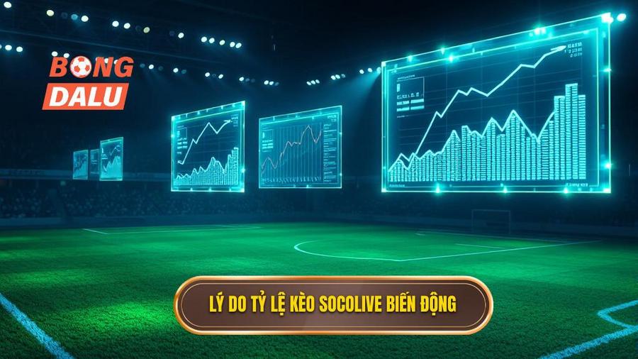 3. Lý do tỷ lệ kèo Socolive biến động