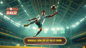 Kỹ thuật sút bóng volley: Hướng dẫn chi tiết từ A-Z cho cầu thủ