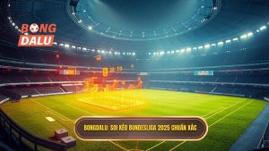 Soi kèo các trận đấu Bundesliga 2025: Nhận định chuyên sâu từ BONGDALU
